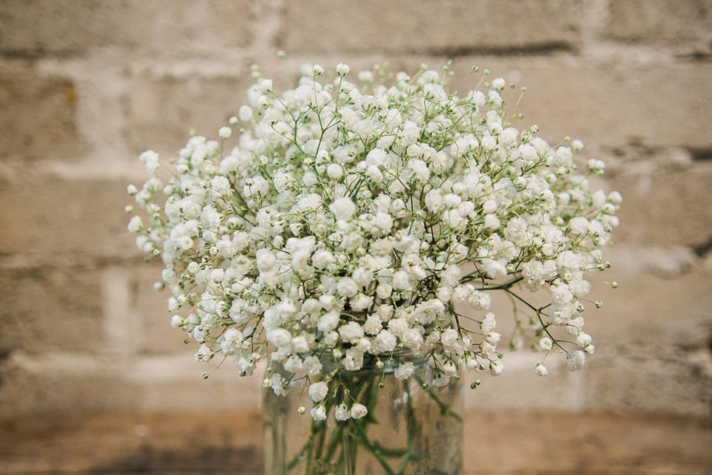 Beyond Baby’s Breath:  Beautiful & Economical Alternatives!