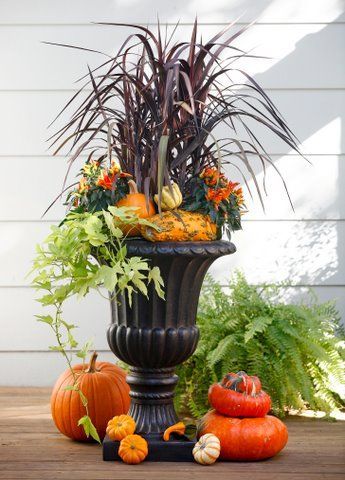 transition to fall: Inspire Floral pot and container design