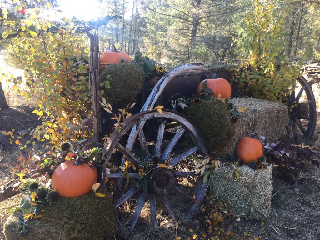 Fall staging decor
