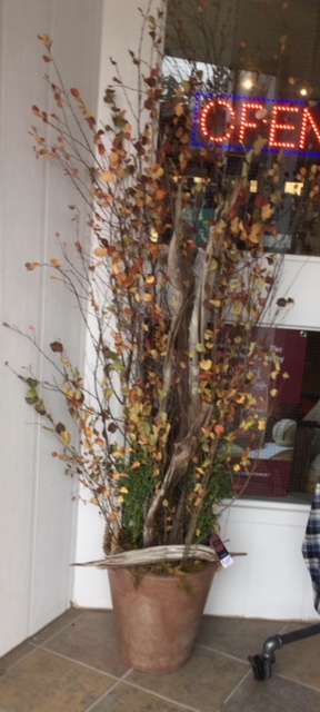 transition to fall: Inspire Floral pot and container design