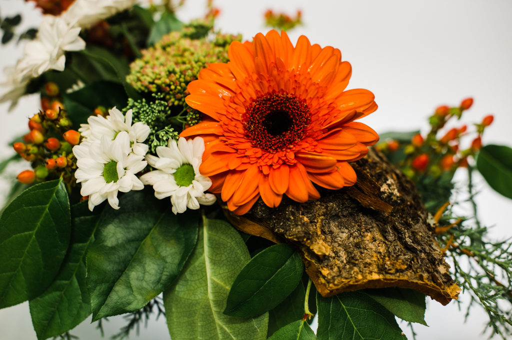 Thanksgiving Florals: Arrangements & Centrepieces