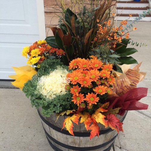 More than Mums! Fall Planters & Containers With Vivre!