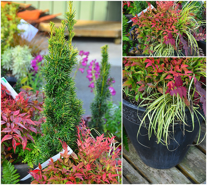 pretty fall containers