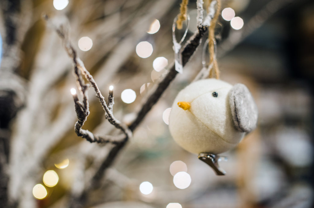 Tracy Connery Photography - Inspire Floral Boutique - Holidays 2018_35